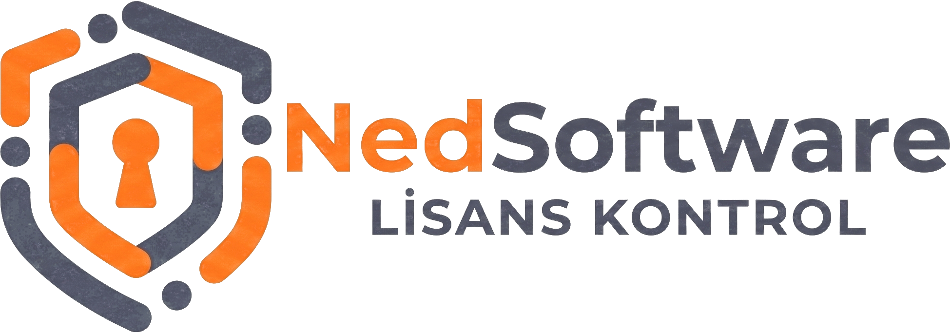 NedSoftware Logo